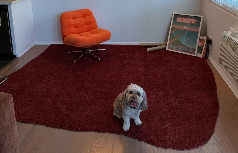 Жителька Голлівуду постелила вдома шмат червоної доріжки з церемонії «Оскар»