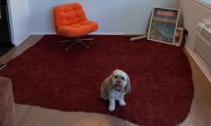 Прем'єр-міністр Швеції підтвердив свою участь у Саміті миру