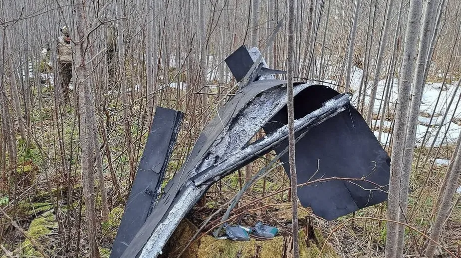 Естонія спростувала пропаганду рф щодо прольоту українських дронів