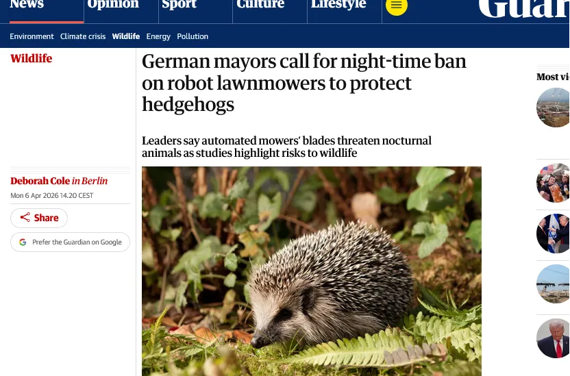У Німеччині хочуть заборонити нічну роботу роботів-газонокосарок через їжаків