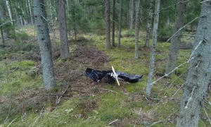 Німеччина хоче купити Україні Patriot, але чекає рішення США — Reuters