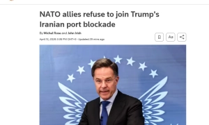 Russia will begin harvesting jellyfish for food