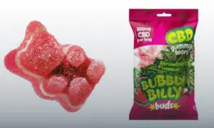 На Херсонщині судитимуть директора компанії за розкрадання 6,5 млн грн на укритті