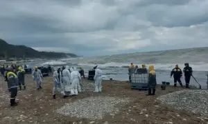 ЗМІ озвучили кількість німецьких екстремістів, що воюють проти України