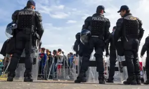 Брюссель не будет торговать безопасностью Украины из-за гренландского конфликта