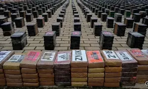 Тіла чотирьох мігрантів виявили у Хорватії поблизу кордону зі Словенією