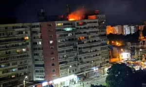 Чотири політики німецької партії АдН відвідають економічний форум у Росії — Bild