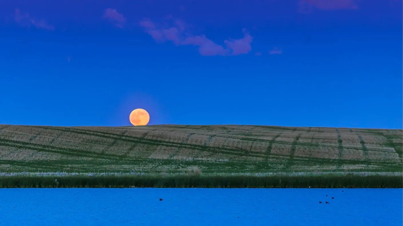 The Strawberry Moon will shine over Ukraine tonight