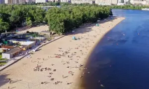 В Киевской области поймали на взятке топ-чиновника-налоговика 