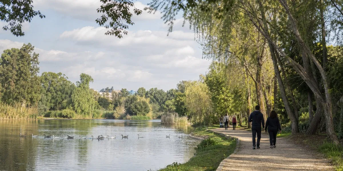 Second bird flu case confirmed at Nicosia park — Cyprus Mail