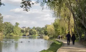 В России из-за коронавируса эвакуировали пассажиров поезда «Киев-Москва»