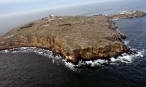 Відео: прибічники Саакашвілі звільнили його з авто правоохоронців 