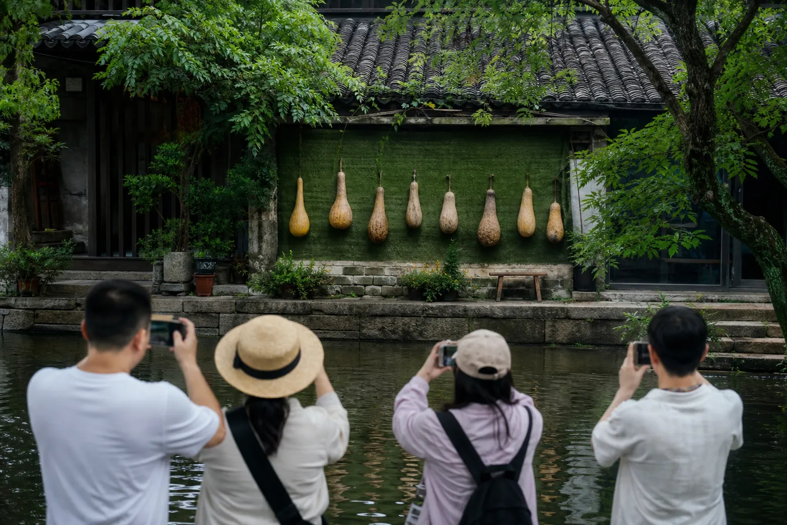 Seven gourds in a Shaoxing resident’s yard become a tourist attraction