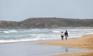 Rekin zabił 65-letnią kobietę na plaży Orient Beach w RPA — Interia