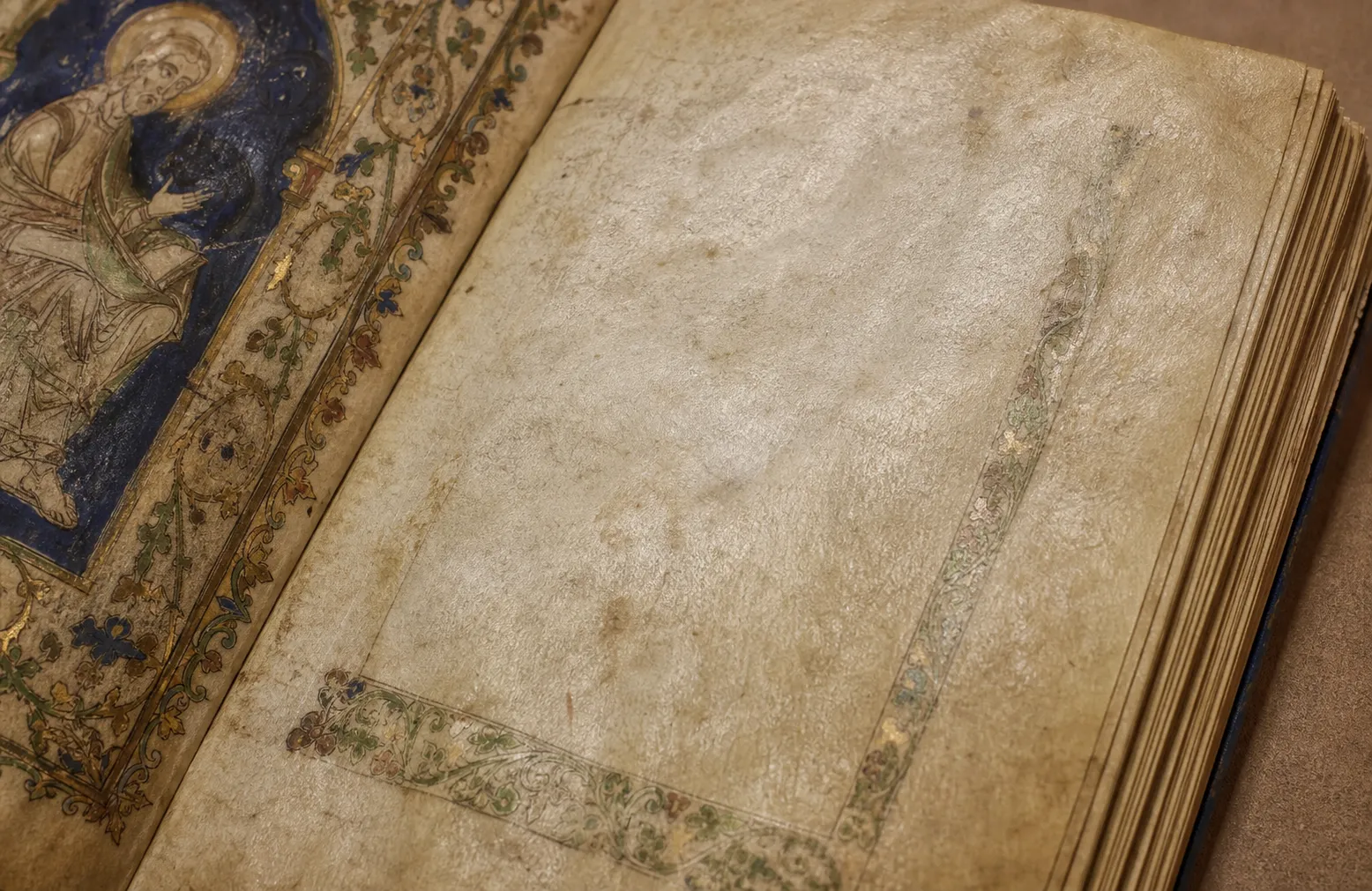 Sheeppox virus DNA found on parchment in medieval manuscripts