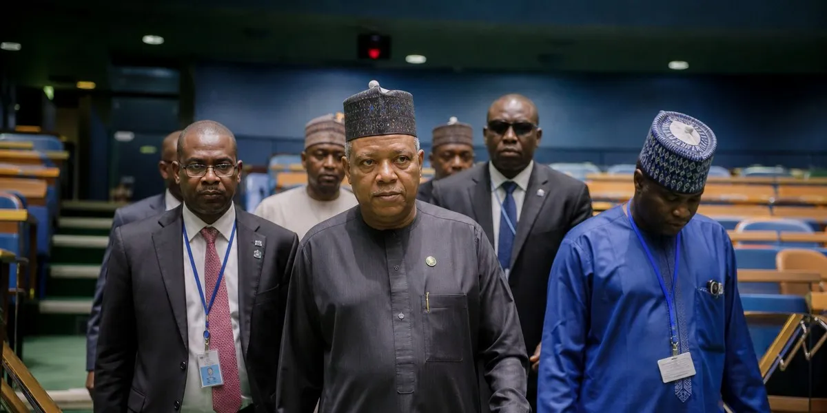 谢蒂马呼吁确保非洲在联合国安理会拥有常任代表权——Premium Times Nigeria