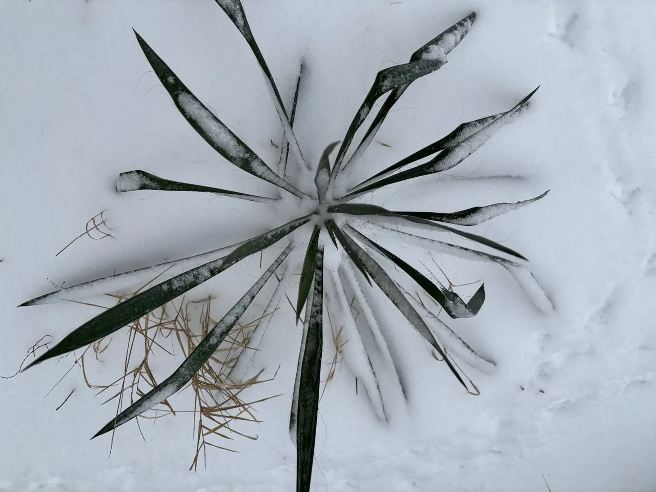 Погода в Україні на 20 січня: синоптики попередили про морози