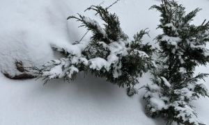 МАГАТЕ прокоментувало збій в енергосистемі України