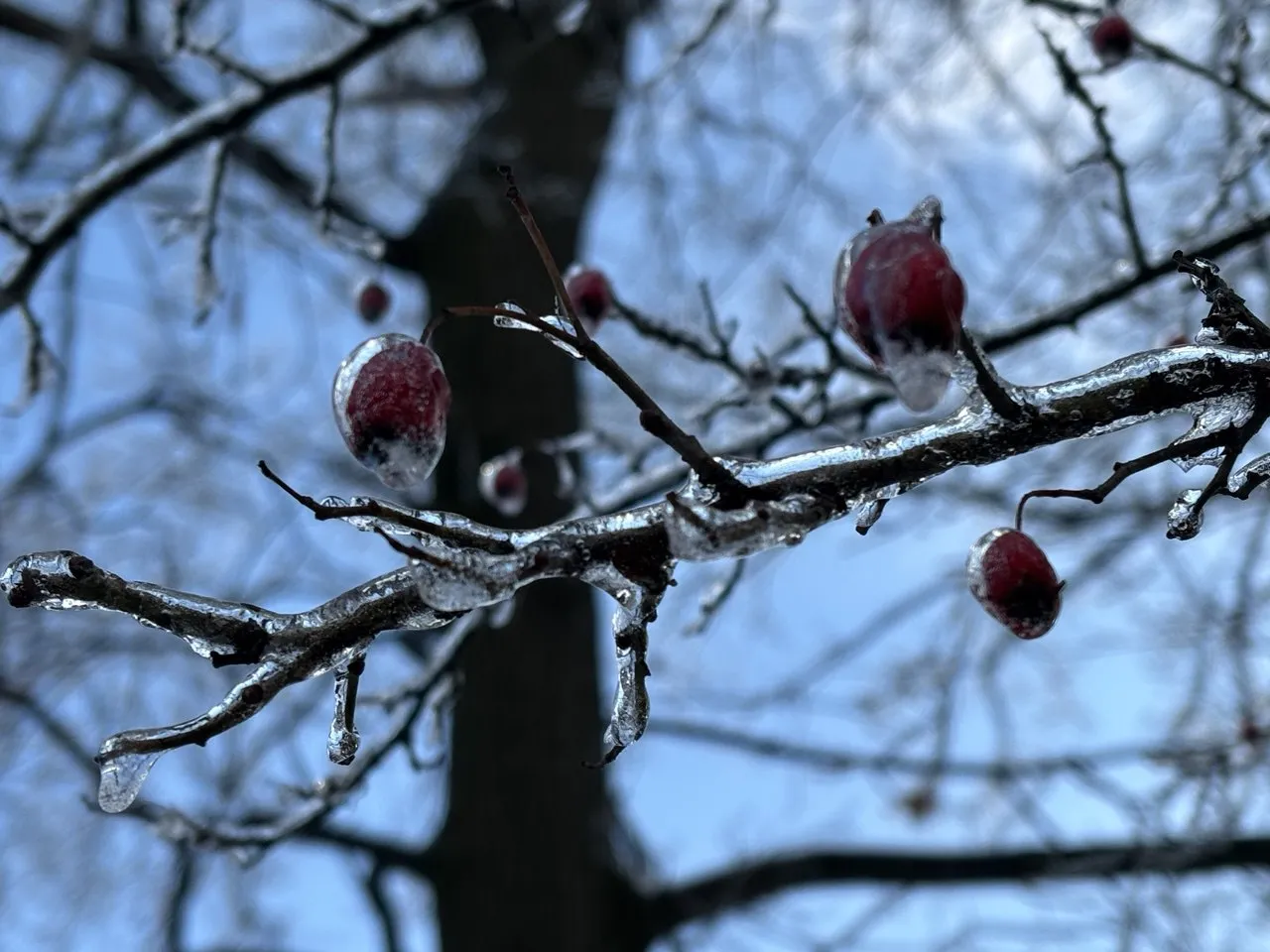 В Україні прогнозують на 21 січня температурні гойдалки від -20° до +2°