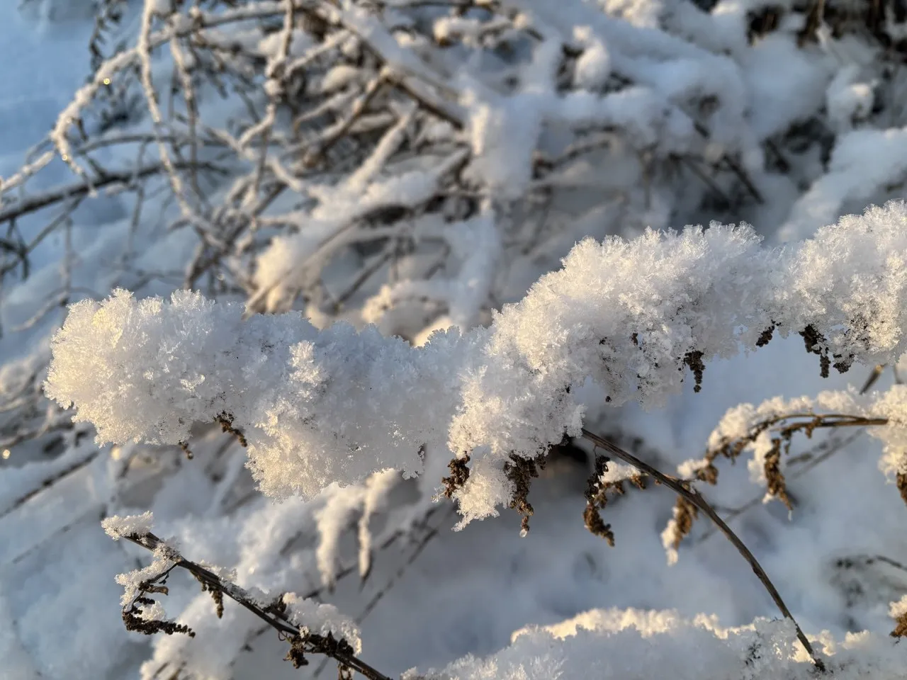 Сонце переможе морози: якою буде погода в Україні 21 січня