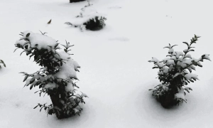 Підраховано, скільки мільйонів українців мають право на голос
