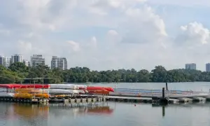 Саудівська Аравія та Пакистан продовжать спільну протидію атакам — Asharq Al-Awsat