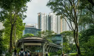 前总理阿德恩获任悉尼大学职位——澳大利亚广播公司新闻