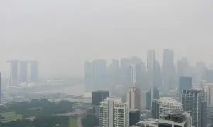 奥费尔·温特提出加入以色列下一届政府的条件