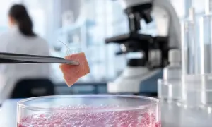 Учёные поставили под сомнение представления о ДНК плода — News-Medical