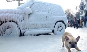 Шістьох депутатів можуть позбавити недоторканності в один день