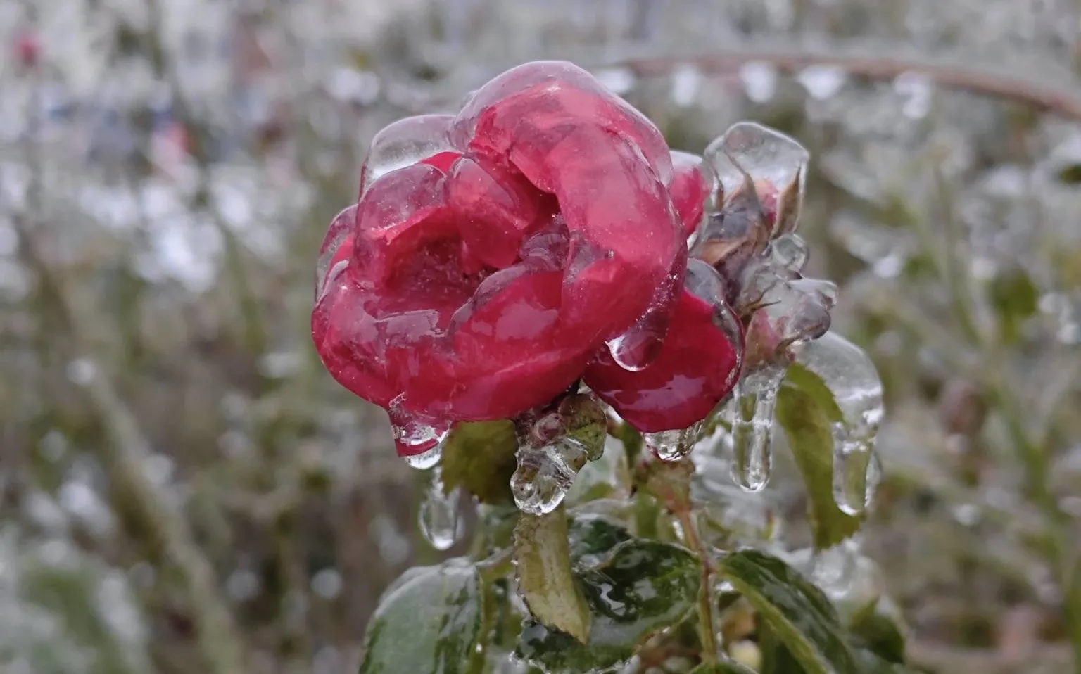 Синоптики попередили про сніг та ожеледицю: погода 14 січня