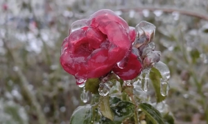 Чернишов прокоментував, де візьме 120 млн грн на заставу