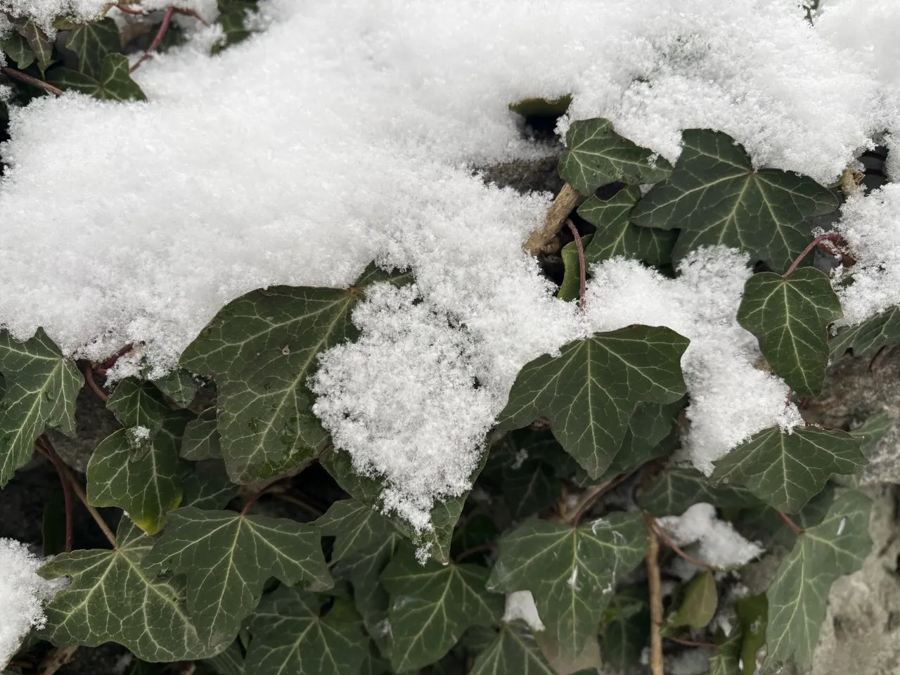 Українців попередили, коли вдарить мороз до -12°С