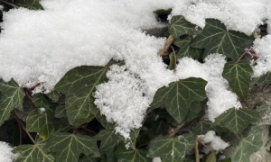 2 вересня в Україні буде спекотно та переважно ясно