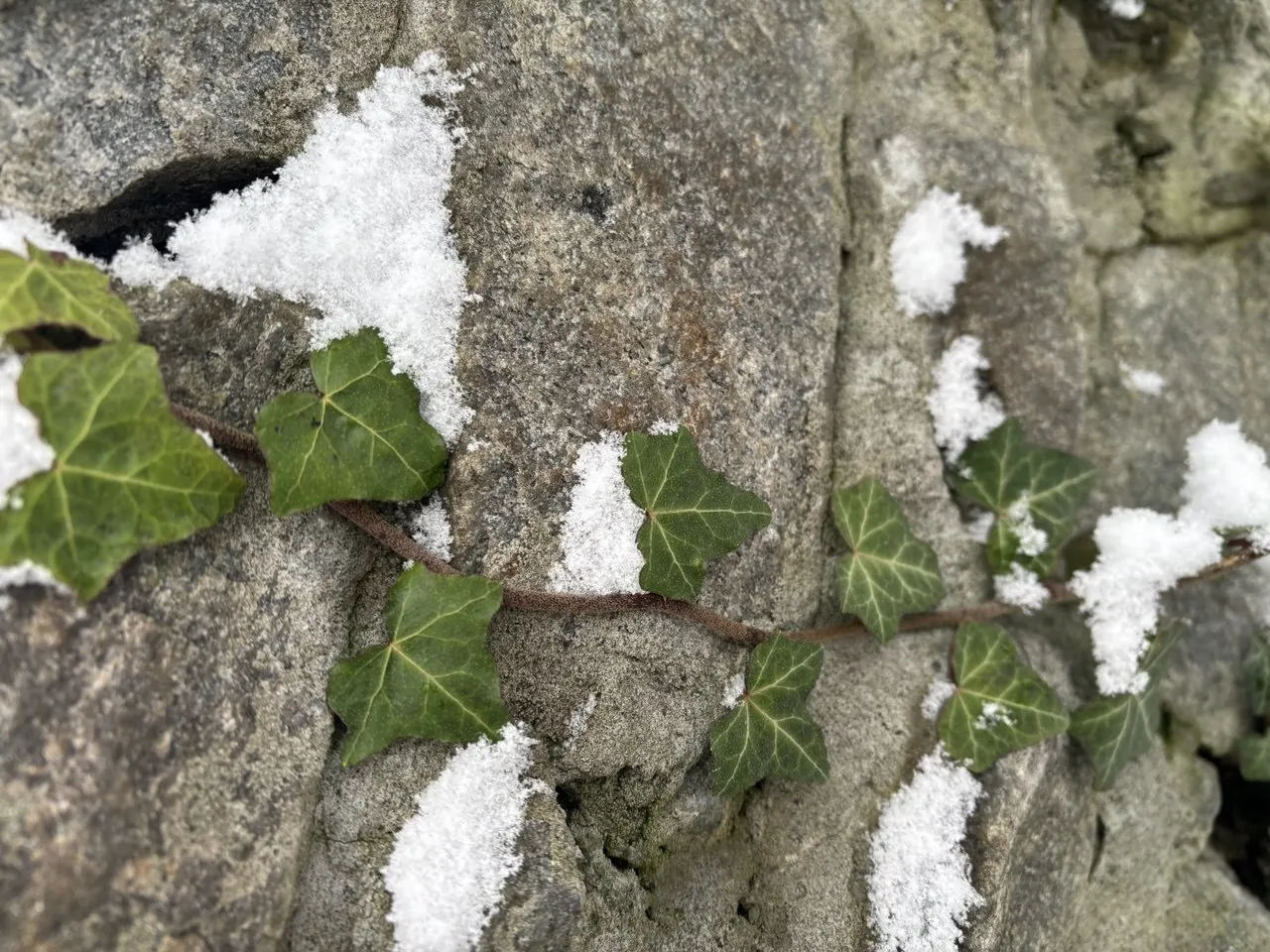 Синоптики прогнозують мороз та сніг: погода 29 січня