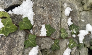 Україна відзвітувала Штатам щодо застосування їхніх касетних боєприпасів 