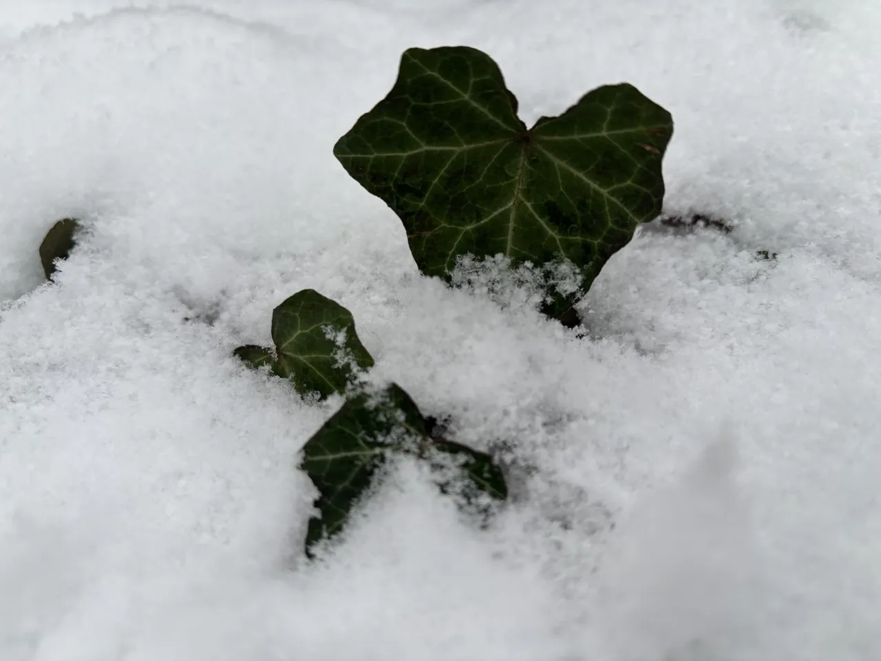 Тепло без опадів: прогноз погоди в Україні на 18 грудня