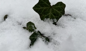 Фото: прикордонники затримали іноземця, який намагався перевезти російську ртуть до ЄС