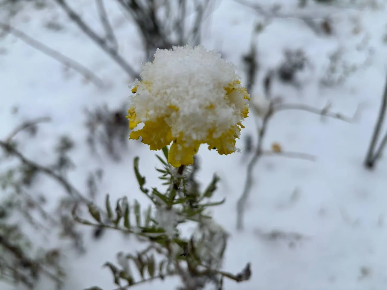 Погода 22 грудня: очікується туман, дощ і мокрий сніг