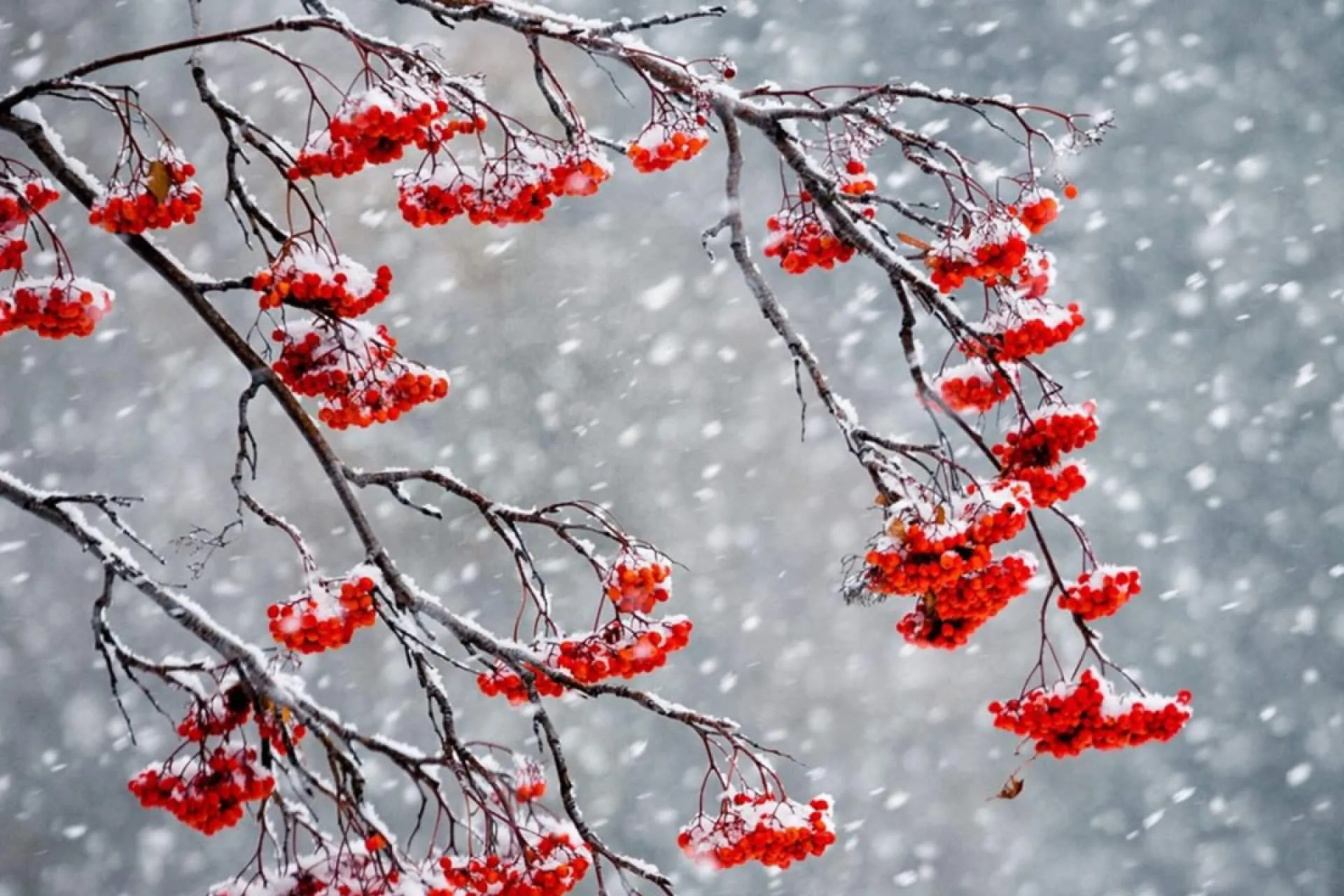28 листопада: яке свято та головні народні прикмети