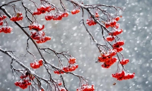 Новий керівник СБУ розповів про російське громадянство дружини