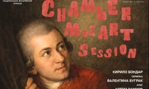 Українка зняла кліп для американської співачки Tinashe