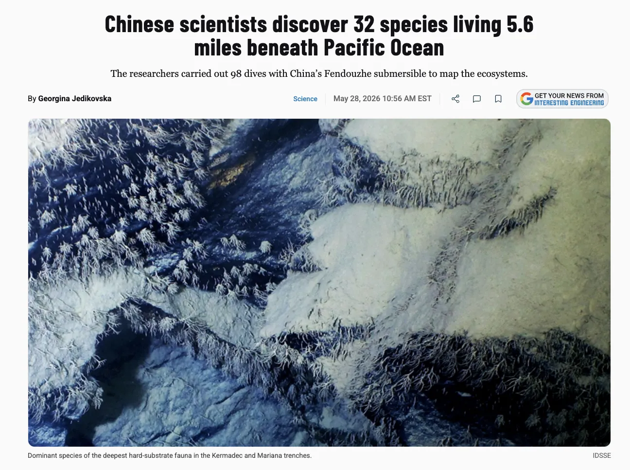 Chinese scientists have discovered 32 species of organisms at depths of up to 11 km in the Pacific Ocean
