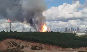 У Тасманії скасовують програму психологічної підтримки працівників юстиції