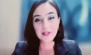 Таллінн планує оцінювати стан дерев за фото — ERR News