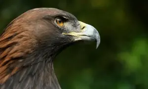 Помпео закликав українців боротися та не зважати на Трампа та вибори у США