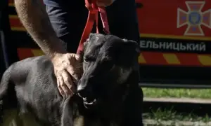 Видео: в Харькове мужчину ранили ножом за вопрос «Чей Крым?»