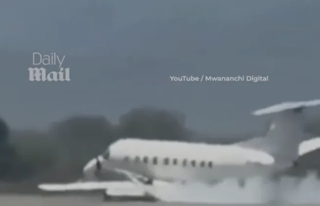 In Tanzania, a plane carrying 30 people collided with a zebra during takeoff — Daily Mail