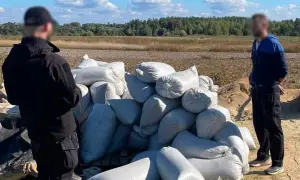 Авіакатастрофа в Тегерані: МЗС назвало терміни завершення врегулювання ситуації