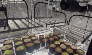 На Херсонщині ліквідували скандального нардепа-зрадника 